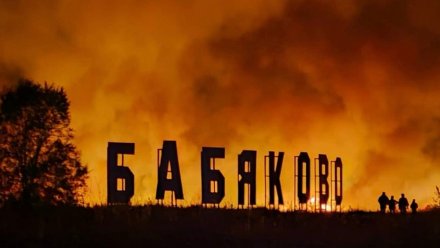 Страшный пожар добрался до воронежского Бабяково