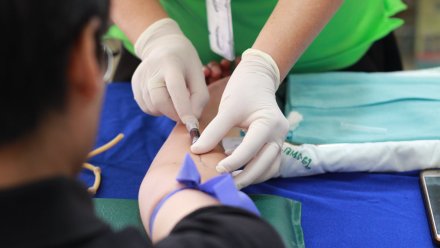 Минобороны заявило о готовности первой российской вакцины от коронавируса