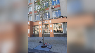 Воронежские экологи раскритиковали горожан за парковку самокатов возле деревьев