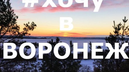 24 лучших фото воронежцев из соцсетей за неделю