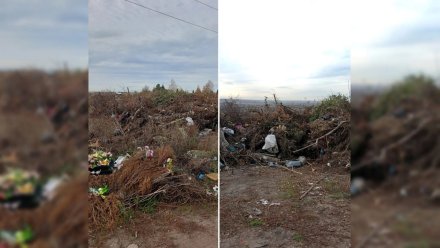 Жители Семилук пожаловались на утопающее в мусоре Городское кладбище