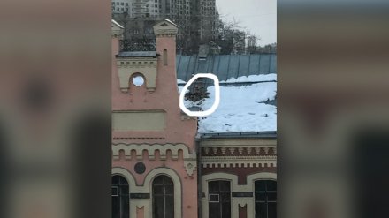 На доме XIX века в центре Воронежа разрушилась труба дымохода