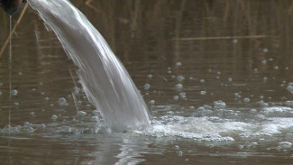 В Воронеже обнаружили три случая слива канализационных стоков в водохранилище