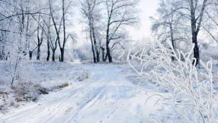 Воронежские синоптики рассказали о погоде в первый понедельник февраля