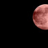 Появились фото клубничной Луны в небе над Воронежской областью