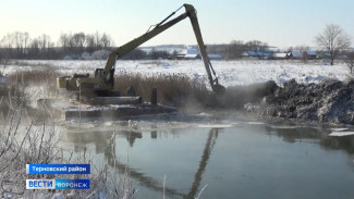В Воронежской области начали расчистку реки Савала 