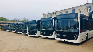 В Воронеже появятся 20 новых автобусов с кондиционерами