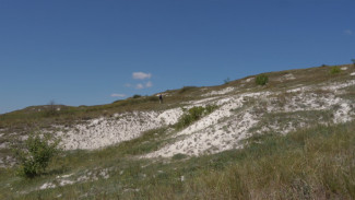 Воронежцев пригласили в Дивногорье на экологический марафон