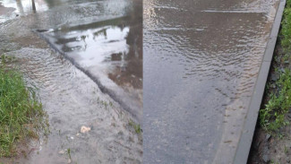 Воронежцы пожаловались на 30-дневный потоп чистой воды в частном секторе
