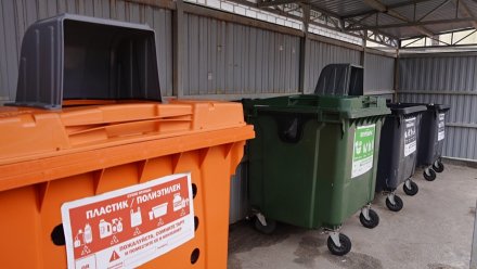 Контейнеры для раздельного сбора мусора поставят в 76 воронежских дворах (список адресов)
