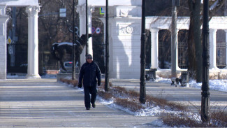 Аномальные морозы уйдут из Воронежской области
