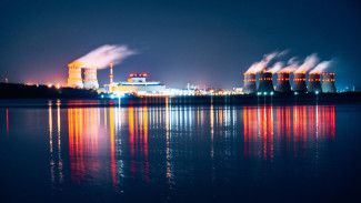 Нововоронежская АЭС в 2020 году на 70% нарастила выработку электроэнергии