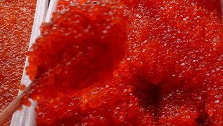 У воронежской «Линии» продолжил работу «Рыбак Камчатки»