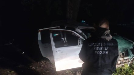 Следователи возбудили уголовное дело после гибели 6-летнего мальчика в пьяном ДТП
