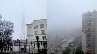 «Город под ватным одеялом». Как выглядел укутанный туманом Воронеж
