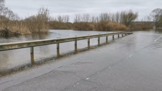 В Воронежской области оказались затоплены 6 понтонных мостов и 29 участков