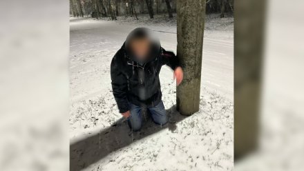 Воронежцы сообщили о пытавшемся задушить 15-летнюю девочку мужчине в Борисоглебске