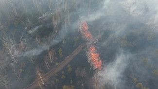 Крупный пожар рядом с воронежской Масловкой сняли на видео с высоты