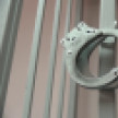 В Воронеже осудили «правую руку» известного вора в законе Плотника