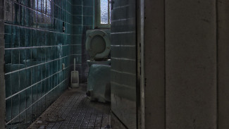 В Воронеже женщина нашла мужа мёртвым в туалете