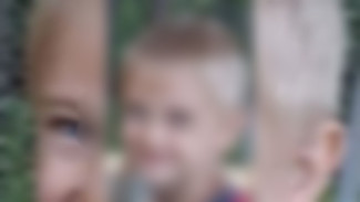 5-летний мальчик пропал без вести в воронежском СНТ