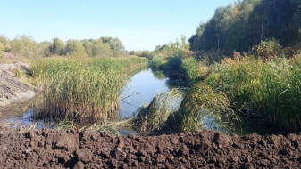 Подрядчик работ на воронежской Усманке попытался оправдать строительство дамбы