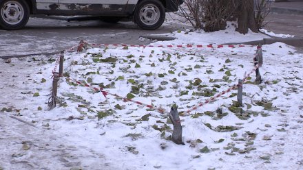 На Левом берегу Воронежа мужчину нашли повешенным