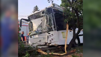 Прокуратура заинтересовалась аварией с автобусом на улице 45-й Стрелковой Дивизии в Воронеже 
