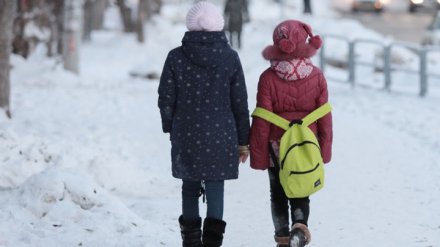 Воронежские родители сообщили об извращенце, караулящем детей у школы