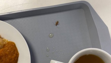 В воронежской школе ответили, почему в столовой подали суп с тараканом