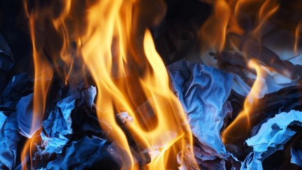 Воронежец получил ожоги при пожаре в своём доме