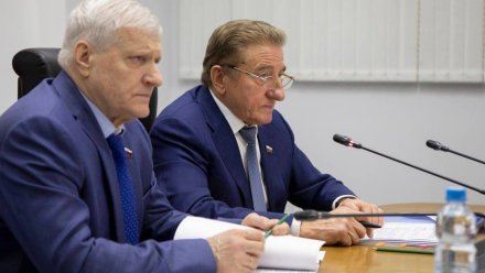 Проблему обращения с ТКО в Воронежской области вынесли на парламентский уровень