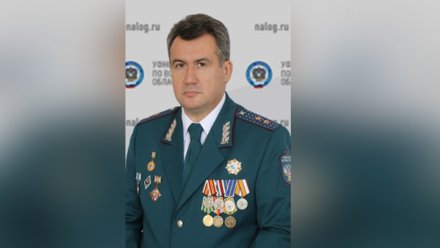 Главный воронежский налоговик Николай Приставка покинет пост 