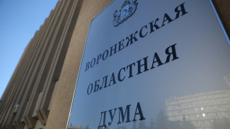 Воронежская облдума одобрила изменения в бюджете ТФОМС на 2024 год