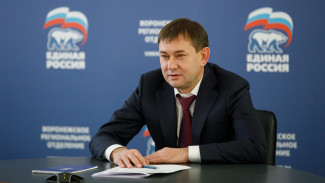 Владимир Нетёсов поблагодарил воронежцев за участие в выборах