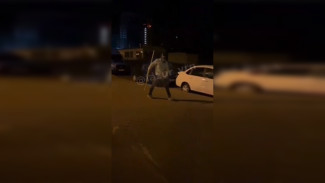 Воронежец в противогазе и цепях напугал жителей ЖК «Лазурный»