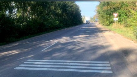 В Воронежской области на 7 аварийных участках появится шумовая разметка