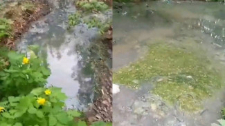 Лес в воронежском микрорайоне снова затопило нечистотами