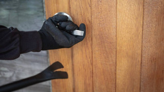 Под Воронежем задержали дачного вора