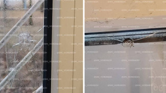 Воронежцы забили тревогу из-за стрельбы в Советском районе