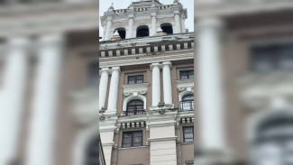 Воронежцы забили тревогу из-за разрушающегося Дома с башней в центре города