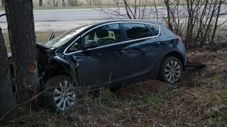 В Воронежской области пьяный водитель иномарки на скорости влетел в дерево
