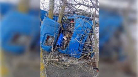 В Воронежской области погиб водитель вылетевшего в кювет грузовика