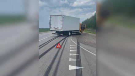 Под Воронежем КамАЗ сбил насмерть человека