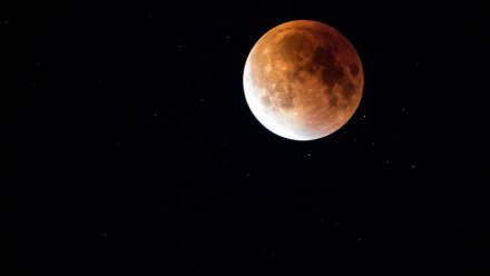 Розовая Луна взойдёт над Воронежем в ночь на 2 апреля