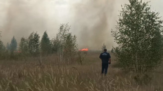 Почти 100 человек привлекли к тушению пожара под Воронежем