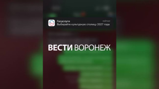 Жителям Воронежской области предложили проголосовать за культурную столицу 2027-го