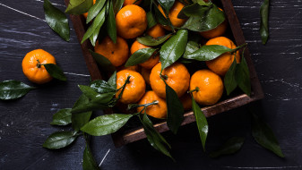 Советы Роспотребнадзора. Как воронежцам выбрать мандарины к новогоднему столу