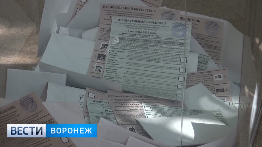 На местных выборах в Воронежской области победила «Единая Россия»