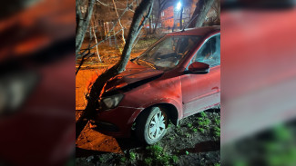 «Лада Гранта» влетела в дерево в Воронеже: есть пострадавший